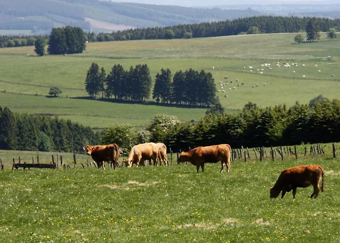 Villa Cozy In With Private Garden *